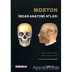 Morton İnsan Anatomi Atlası - Kurt H. Albertine - Nobel Tıp Kitabevi