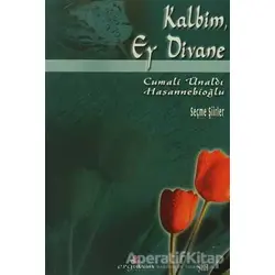 Kalbim, Ey Divane - Cemali Ünaldı Hasannebioğlu - Erguvan Yayınevi