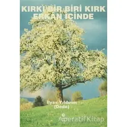 Kırkı Bir Biri Kırk Erkan İçinde - İlyas Yıldırım - Can Yayınları (Ali Adil Atalay)