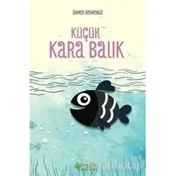 Küçük Kara Balık - Samed Behrengi - Fark Yayınları