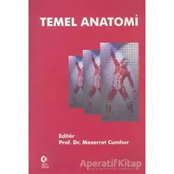 Temel Anatomi - Meserret Cumhur - ODTÜ Geliştirme Vakfı Yayıncılık