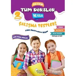 2. Sınıf Tüm Dersler Çek-Kopar Ne Kolay Çalışma Testleri - Erdinç Yeniçeri - Selimer Yayınları