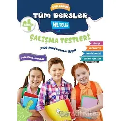 4. Sınıf Tüm Dersler Çek-Kopar Ne Kolay Çalışma Testleri - Erdinç Yeniçeri - Selimer Yayınları