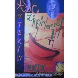 Abc Zincirlemesi - Aytekin Arık - İnsancıl Yayınları