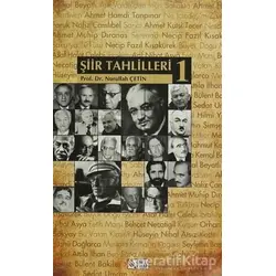 Şiir Tahlilleri 1 - Nurullah Çetin - Akçağ Yayınları - Ders Kitapları