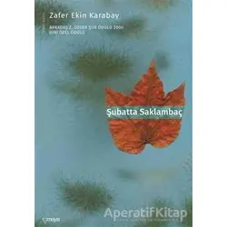 Şubatta Saklambaç - Zafer Ekin Karabay - Mayıs Yayınları