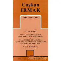 Toplu Oyunları 1 İtaat Deneyi / Eylül Penceresinden İki Kozyatağı Manzarası / Elli Metre Yüksekten İ