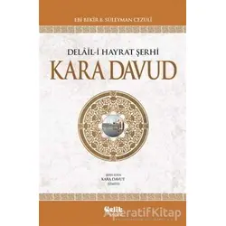 Delail-i Hayrat Şerhi Kara Davud (2. Hamur - İthal Kağıt) - Kara Davud - Çelik Yayınevi