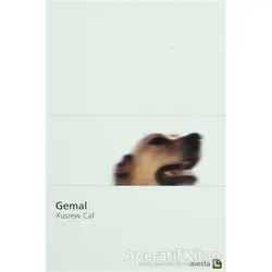 Gemal - Xusrew Caf - Avesta Yayınları