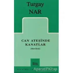 Can Ateşinde Kanatlar (Mevlana) - Turgay Nar - Mitos Boyut Yayınları