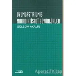 Uyumlaştırılmış Makroiktisadi Büyüklükler - Gülsüm Akalın - Bağlam Yayınları