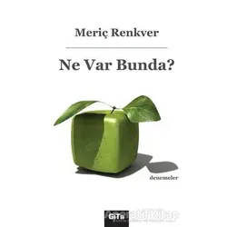 Ne Var Bunda? - Meriç Renkver - Gita Yayınları