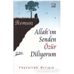 Allah’ım Senden Özür Diliyorum - Feyzullah Birışık - Karınca & Polen Yayınları