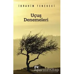 Uçuş Denemeleri - İbrahim Tenekeci - Profil Kitap