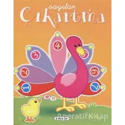 Eğitici Çıkartmalar - Sayılar - Kolektif - Çiçek Yayıncılık