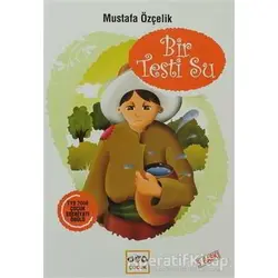 Bir Testi Su - Mustafa Özçelik - Nar Yayınları