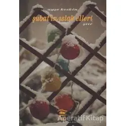 Şubat’ın Islak Elleri - Ayşe Keskin - Serander Yayınları