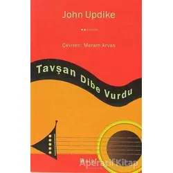 Tavşan Dibe Vurdu - John Updike - Alef Yayınevi