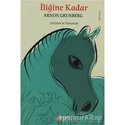 İliğine Kadar - Arnon Grunberg - Alef Yayınevi