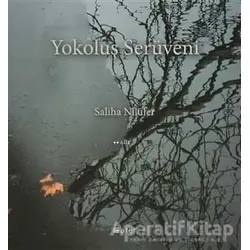 Yokoluş Serüveni - Saliha Nilüfer - Alef Yayınevi