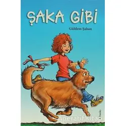 Şaka Gibi - Güldem Şahan - Tudem Yayınları