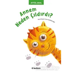 Annem Neden Çıldırdı - Aytül Akal - Tudem Yayınları