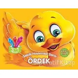 Ördek - Kolektif - Parıltı Yayınları