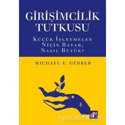 Girişimcilik Tutkusu - Michael E. Gerber - Aura Kitapları
