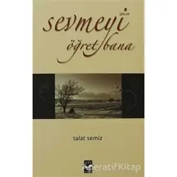 Sevmeyi Öğret Bana - Talat Semiz - Arı Sanat Yayınevi