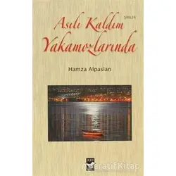 Asılı Kaldım Yakamozlarında - Hamza Alpaslan - Arı Sanat Yayınevi