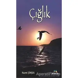 Çığlık - Nazmi Şimşek - Meneviş Yayınları