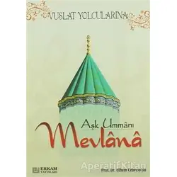 Aşk Ummanı Mevlana - Ethem Cebecioğlu - Erkam Yayınları