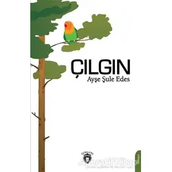 Çılgın - Ayşe Şule Edes - Dorlion Yayınları