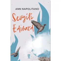 Sevgili Edward - Ann Napolitano - Dex Yayınevi