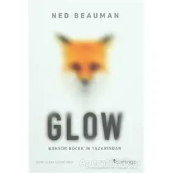 Glow - Ned Beauman - Domingo Yayınevi