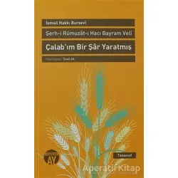 Şerh-i Rümuzat-ı Hacı Bayram Veli - Çalab’ım Bir Şar Yaratmış