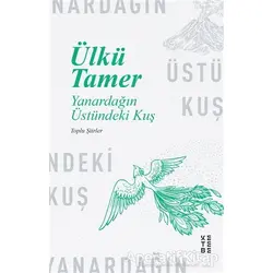 Yanardağın Üstündeki Kuş - Ülkü Tamer - Ketebe Yayınları