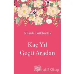 Kaç Yıl Geçti Aradan - Naşide Gökbudak - Nemesis Kitap