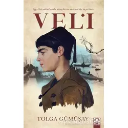 İşgal İstanbulunda Rüzgarını Arayan Bir Uçurtma: Veli - Tolga Gümüşay - Altın Kitaplar