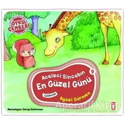 Aceleci Sincabın En Güzel Günü - Aysel Gürmen - Timaş Çocuk