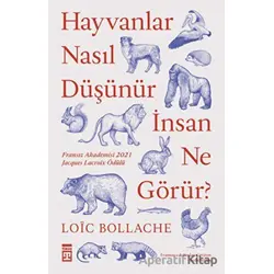 Hayvanlar Nasıl Düşünür İnsan Ne Görür? - Loic Bollache - Timaş Yayınları