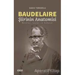 Baudelaire Şiirinin Anatomisi - Sadık Türkoğlu - Çizgi Kitabevi Yayınları