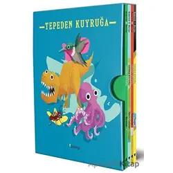 Tepeden Kuyruğa Kutulu Set (4 Kitap) - Stacey Roderick - Domingo Yayınevi