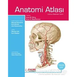 Anatomi Atlası Gilroy - Kolektif - Palme Yayıncılık