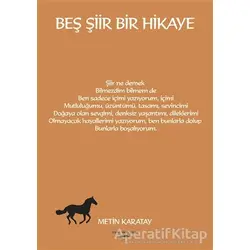 Beş Şiir Bir Hikaye - Metin Karatay - Sokak Kitapları Yayınları