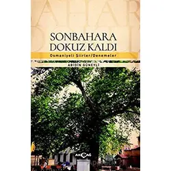 Sonbahara Dokuz Kaldı - Abidin Güneyli - Akçağ Yayınları