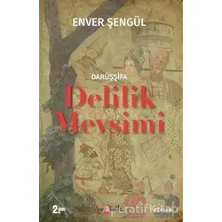 Darüşşifa - Delilik Mevsimi - Enver Şengül - Puslu Yayıncılık