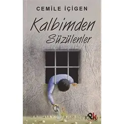 Kalbimden Süzülenler - Cemile İçigen - Panu Kitap