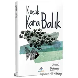Küçük Kara Balık - Samed Behrengi - Mavi Nefes Yayınları