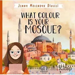 What Colour is Your Mosque? - Jenny Molendyk Divleli - Karavan Çocuk Yayınları